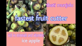 Fastest Fruit Cutterthati Munjalusummer Fruit