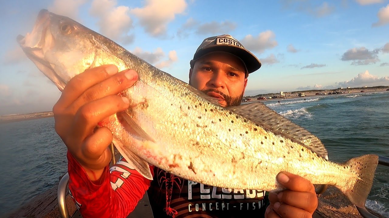 Free lining Croakers in the Surf for BIG Speckled Trout(Bounus MONSTERS ...
