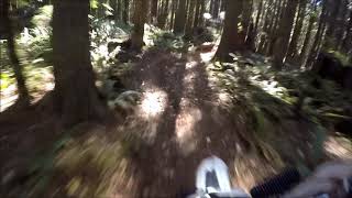 2018 10 06 McNutt, up and down Gordy's, Weasel