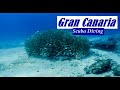 Gran Canaria | Scuba Diving | Maspalomas