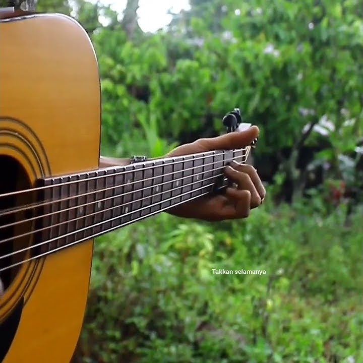 Story Wa || Peterpan-Takkan Ada Abadi Fingerstyle#shorts #short #30detik #shortvideo #storywaterbaru