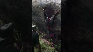 Arthur Morgan finds second clue of American Dreams Stranger Mission #rdr2 #reddeadredemption2