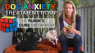 Dog Anxiety Treatment Plan, the Rubik’s Cube Metaphor by Alyssa Rose 388 views 4 years ago 3 minutes, 57 seconds