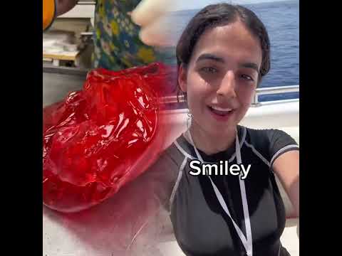 تبصش في حياة غيرك فديو تمثيلي لنشر الخير بين