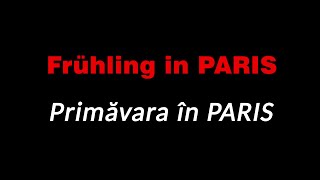 Rammstein - Frühling in Paris - lyrics - versuri in limba romana