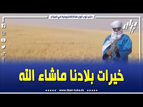 خيرات الجزائر في من ولاية إليزي و الصحراء الجزائرية تحقق أرقام مميزة في إنتاج المحاصيل الفلاحية