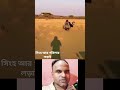 সিংহ আর গরিলার লড়াই #like #comment #subscribe #sheare