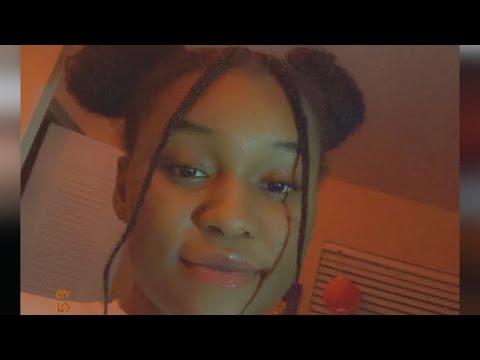 2 Bun Buns And 2 Braids | Hairstyle | Kake4life