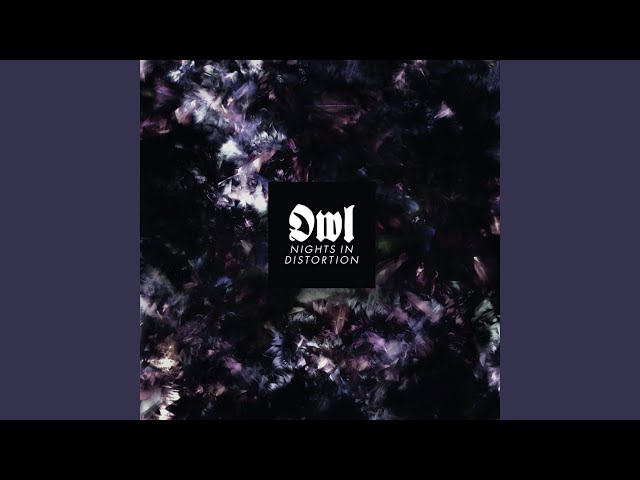 Owl - We Are Made for Twilight