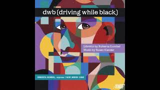 Реферат: Dwb (Driving While Black) A
