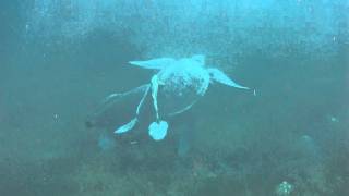 20120106a 056.AVI