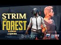 The Forest || RADMIR RUSSIA 2S || PROMOKOD // bekxan // O'ZBEKCHA STRIM