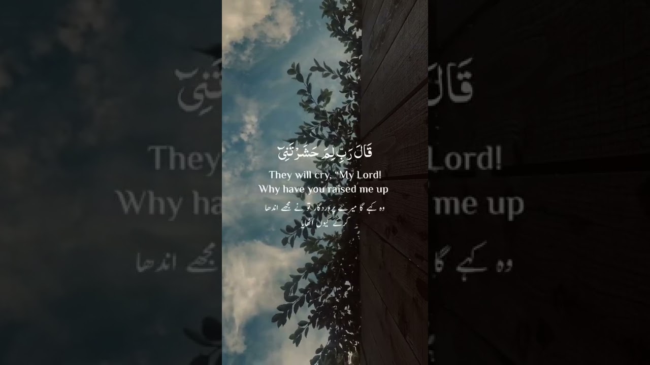 Surah T H Ayat 124 127 Beautiful Recitation Qur an Moments YouTube surah-t-h-ayat-124-127-beautiful-recitation-qur-an-moments-youtube