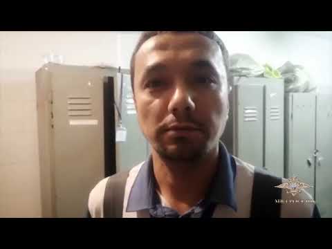 Ирина Волк: Полицейские пресекли деятельность группы, занимавшейся организацией незаконной миграции