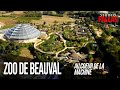 Ref:vTm0vqdfTug Zooparc de beauval: au coeur de la machine - studio pallas