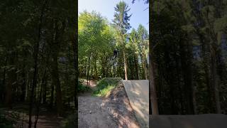 Proline @ windhill bike park 💯