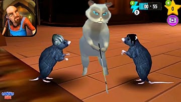 Scary Stranger 3D - New Update All FOOL OR GET FOOLED Levels | Android Gameplay HD