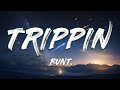 BUNT TRIPPIN Lyrics mp3