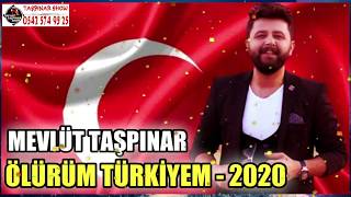 TÜRKİYEM (🇹🇷 Ölürüm Türkiyem 🇹🇷) - MEVLÜT TAŞPINAR | Mp3 HD Resimi