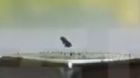 First video of LK-99 Full Levitation #lk99 #superconductivity #technology