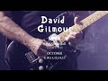 David gilmour  london shows announced royalalberthall