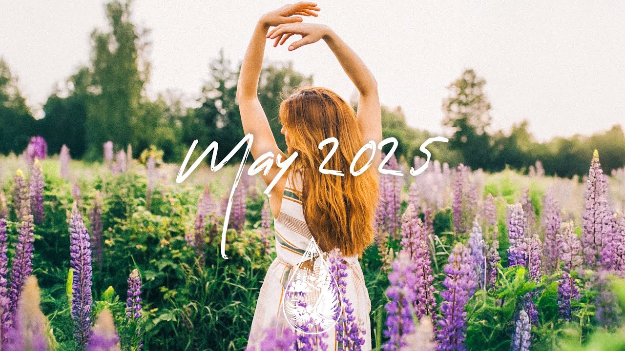 Indie Pop Folk Compilation