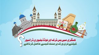 Free Work Permit For Bus Taruk And Food Delivery Driver In Hungary Available Apply Know