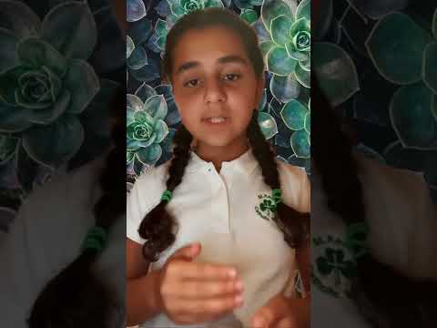 St. Kevin Catholic School- Fairchild Challenge video 2