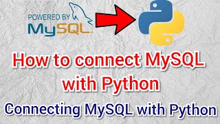 How to Connect MySQL with Python | Interface Python with MySQL | Connect Python with MySQL |Class 12