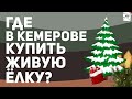 Где в Кемерове купить живую ёлку? Сделали наглядную карту