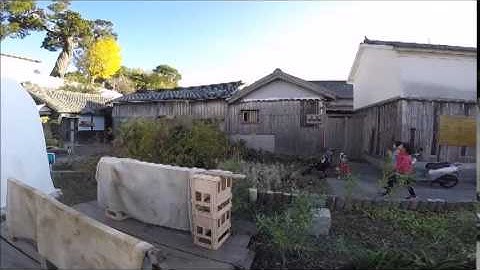 RC Ornithopter in Shodoshima