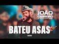 João Carreiro - Bateu Asas (Ao Vivo em Campo Grande)