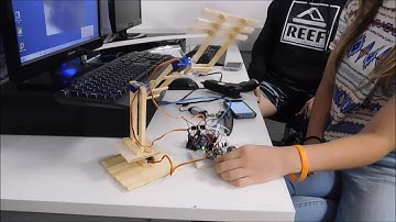 Protótipo de Braço Mecânico - Projeto - Algoritmos para Engenharia II