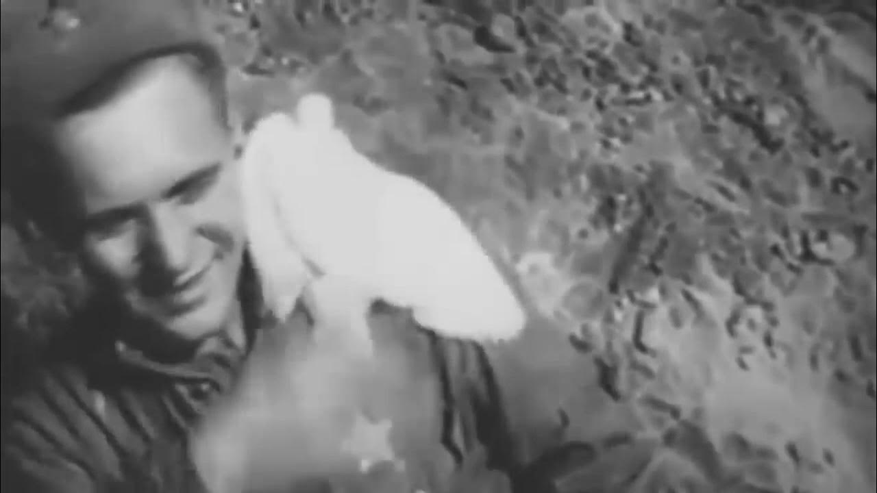 День победы слова. Песня день победы видео. День победы текст с нотами. День победы мочалова слушать. День победы мочалова слушать.