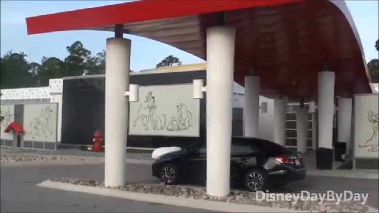 Best Friends Pet Care at Walt Disney World Tour with Us YouTube