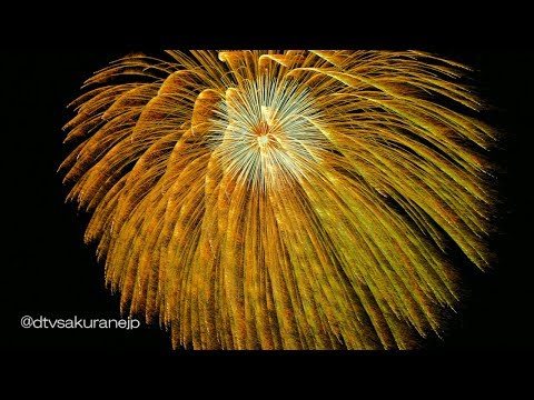 2016 神明の花火 13 2尺玉その2