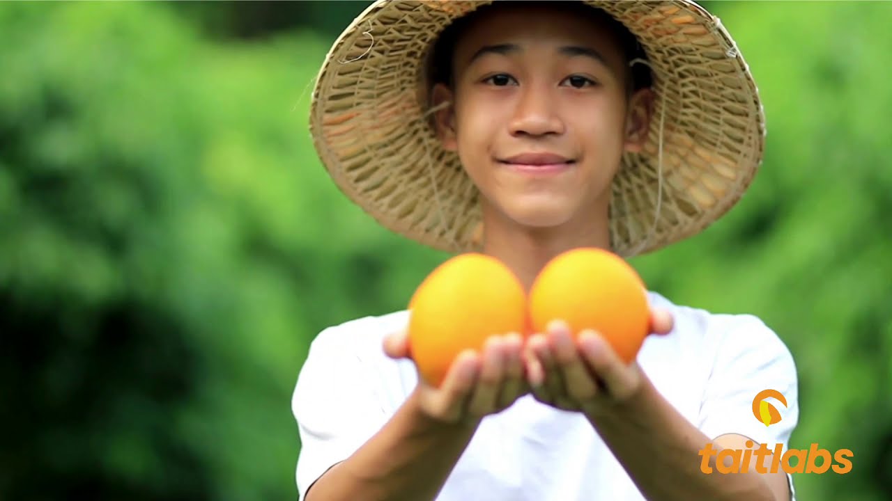 taitlabs | Future Food-Tech 