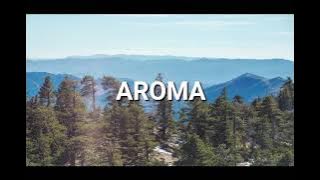 AROMA (Romans) Chichewa | Good News | Audio Bible