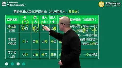 中醫執業醫師考試04 特定穴1 針灸學 劉成之 - 天天要聞