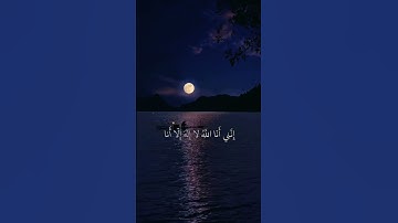 رسالة من الله: فاستمع لما يوحى 📖.. تلاوة تخشع لها القلوب | تلاوة #قرآن #القرآن_الكريم