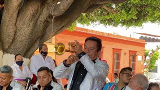 El Maestro Fito Díaz interpretando “Siempre en Verano” con Banda Reyna de Huajuapan