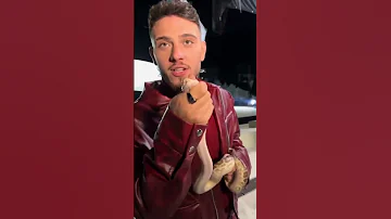 من كواليس اغنية بتهون الشامي اكسبلور ترند بتهون لايك اشتراك بالقناه ليصلك كل جديد الشامي بتهون 