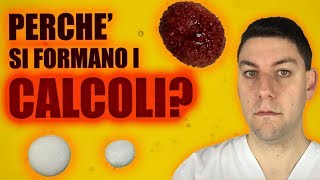 Perché si formano i CALCOLI nelle urine del cane e del gatto?