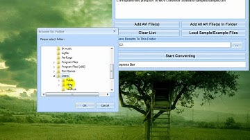How To Use AVI To MOV Converter Software