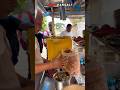 கோவையை கலக்கும் ராஜா ஓடச்ச பூரி கடை🔥|#shorts