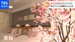 お花見スタイル激変！ホテル夜桜も【Nスタ】