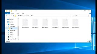 Lmas ransomware removal instructions.