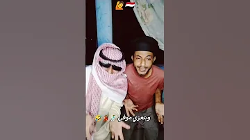 ترند ششقي وشنديلك موووفي ضالعي شيز انا قدنا تعزي خلاص 