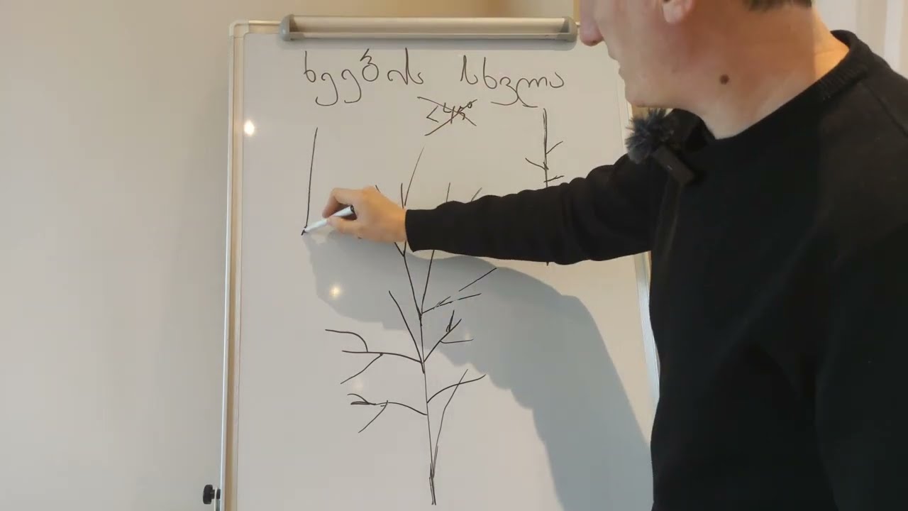 ხეხილის გასხვლა. ზოგადი წესები.