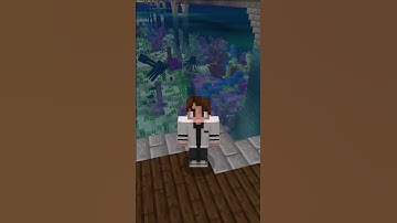 Bedrock Edition Mods vs Java Edition Mods: Which is Better?  #minecraft